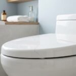 Cracked toilet seat showing visible damage in a clean bathroom setting for repair guide